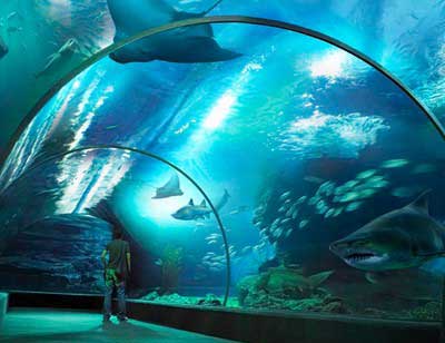 Siam Ocean World